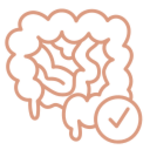 Mais Saúde Intestinal